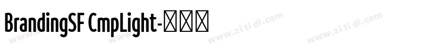 BrandingSF CmpLight字体转换